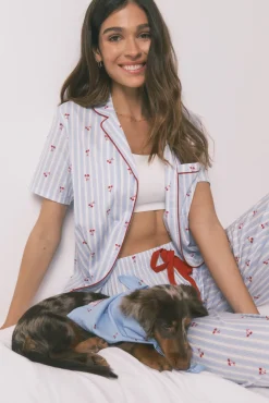 Bandana para cão azul com cerejas