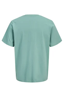 Camiseta básica com logo