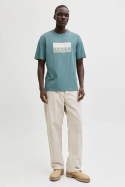 Camiseta básica estampado