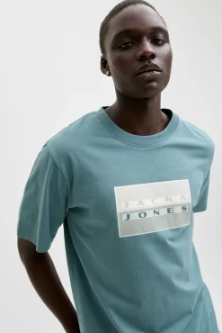Camiseta básica estampado