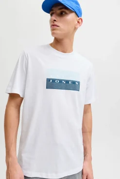 Camiseta básica estampado