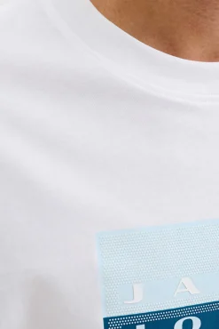 Camiseta básica estampado