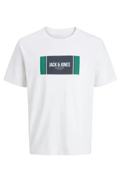 Camiseta estampada regular fit