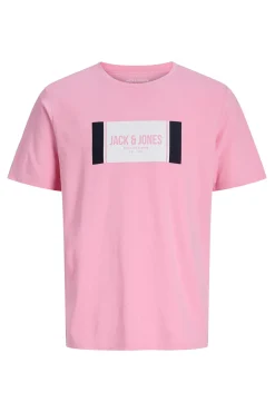 Camiseta estampada regular fit