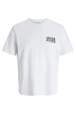 Camiseta estampada regular fit