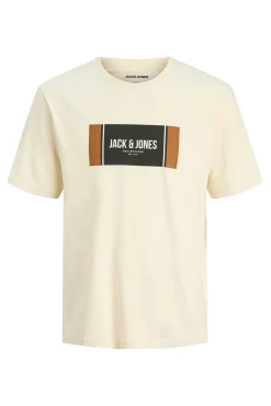 Camiseta estampada regular fit