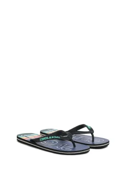 Chinelo flip-flop logo