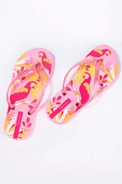 Chinelos infantis estampado papagaios tropicais