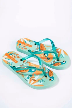 Chinelos infantis estampado papagaios tropicais