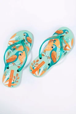 Chinelos infantis estampado papagaios tropicais