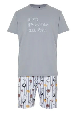 Conjunto de pijama curto de riscas e animais