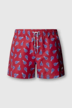 Fato de banho regular com cordão estampado lagostas