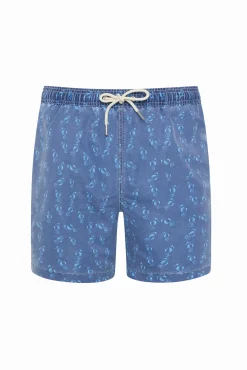 Fato de banho bermuda azul lavagem cavalo-marinho