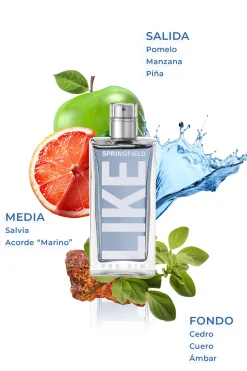 Fragrância like 50 ml