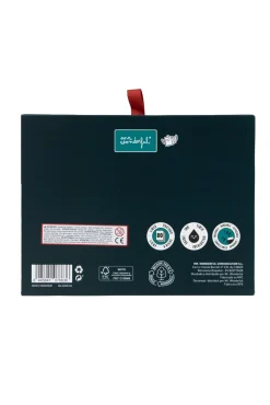 Kit de caderno A6 + porta-cartões + caneta apagável Bo-Bo Urso - TALENT-OSO