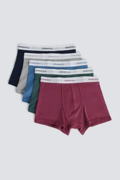 Pack de 5 boxers básicos em algodão