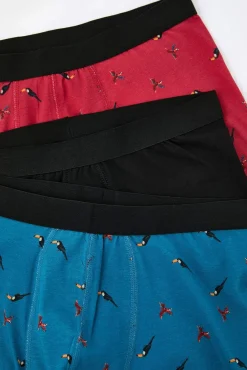 Pack de 3 boxers pássaros