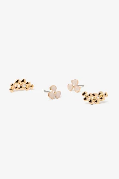 Pack de Brincos Florais