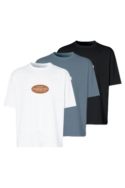 Pacote com 3 camisetas básicas