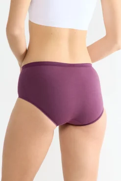 Pacote com 3 cuecas midi