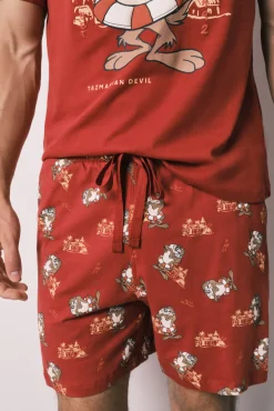 Pijama curto de homem em algodão Demónio da Tasmânia