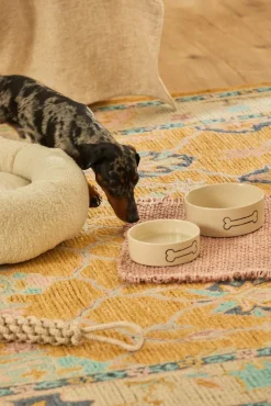 Prato para animais de estimação Sasha