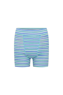 Short Menstrual Teen em Algodão Orgânico Fluxo Super Roxo