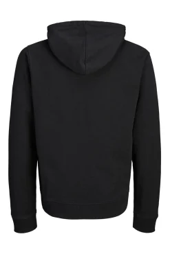 Sweatshirt capuz