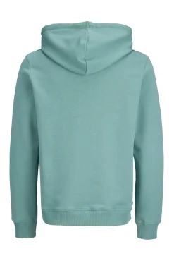 Sweatshirt capuz