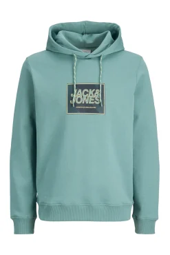 Sweatshirt capuz