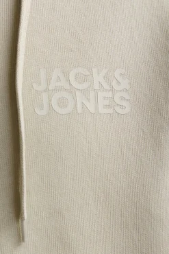 Sweatshirt com capuz