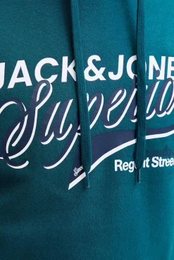 Sweatshirt de capuz regular fit