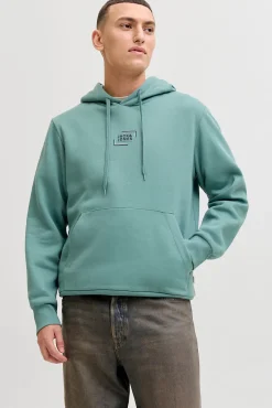 Sweatshirt de capuz regular fit