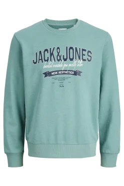 Sweatshirt logo grande