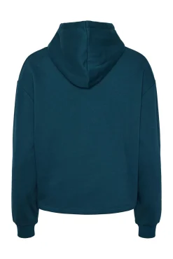 Sweatshirt básica capuz