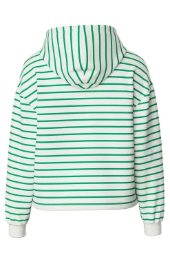 Sweatshirt com capuz
