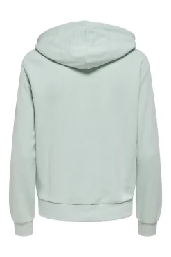 Sweatshirt desportiva com capuz