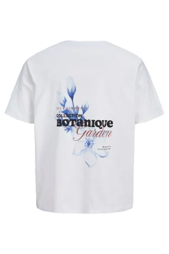 T-shirt relaxed com estampado nas costas