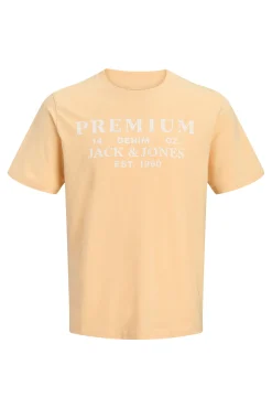 T-shirt estampada em algodão